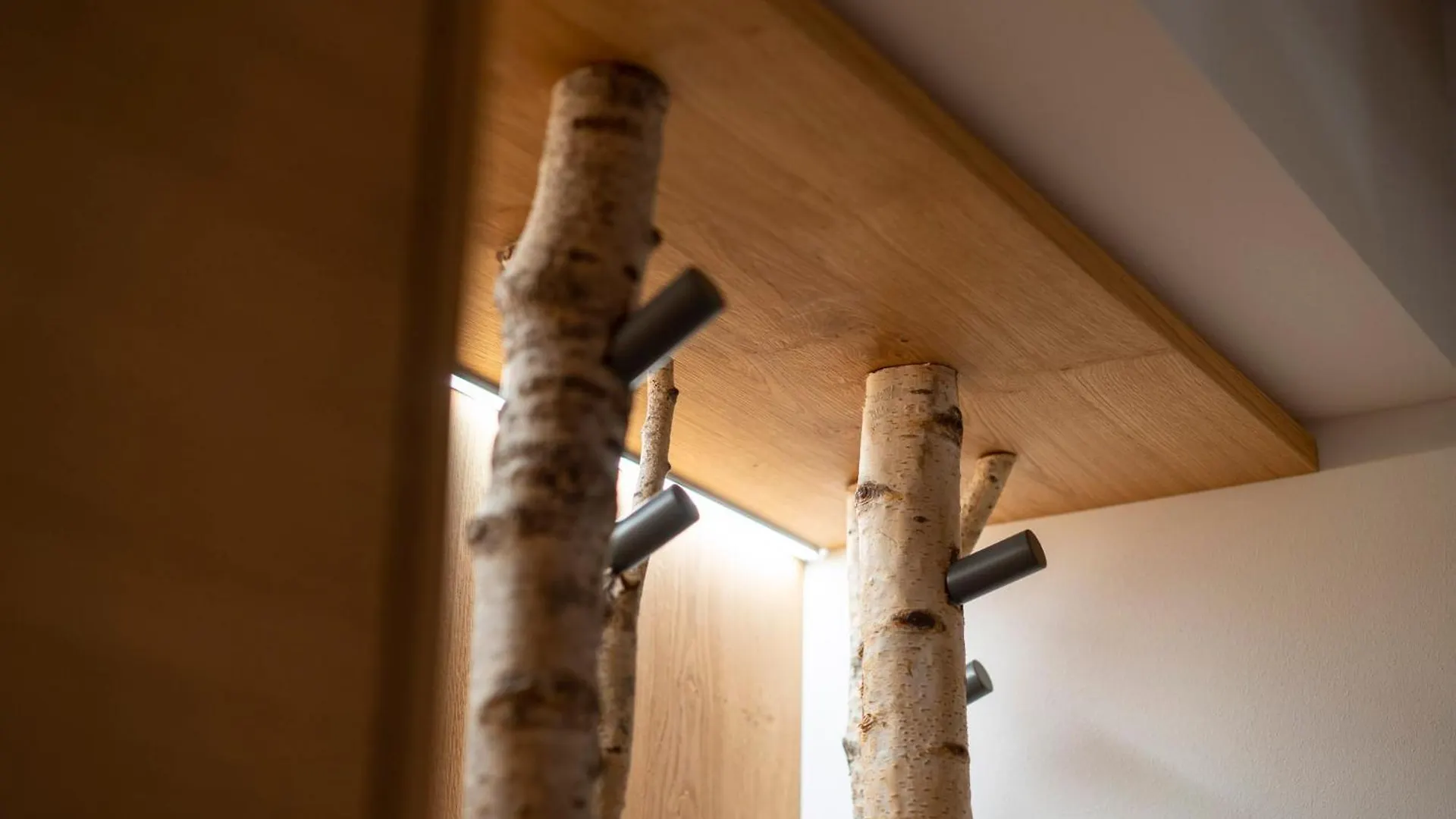 Appartamento Casera Cal De Mez- Wellness Chalet Funes  Italia